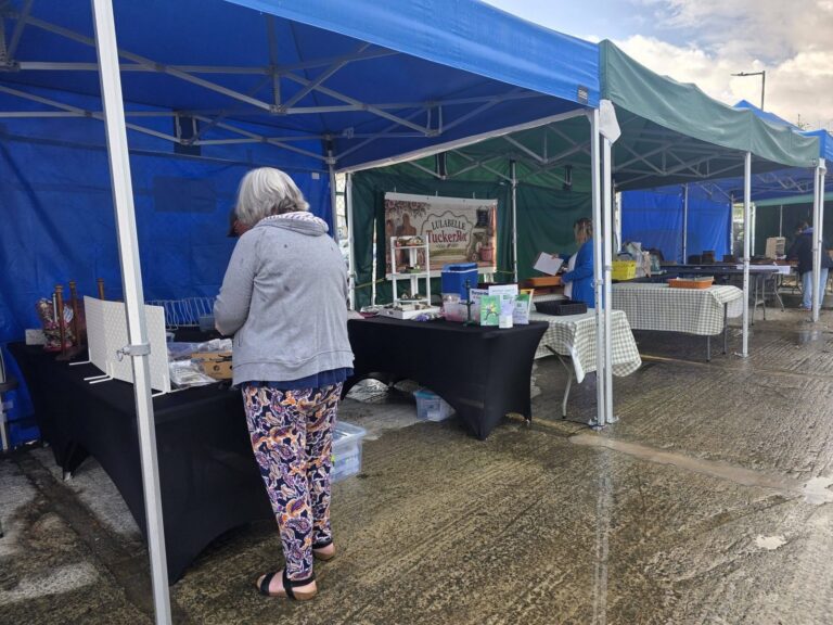 Blue and green gazebos being set up in Drovers Yard