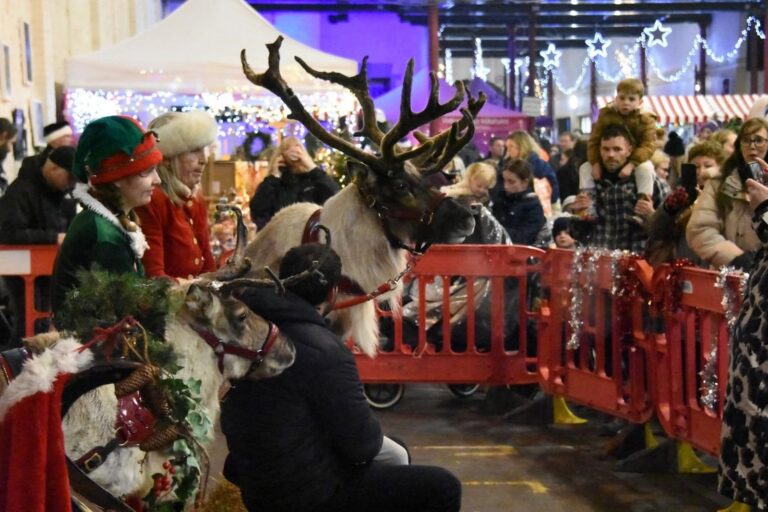 Visitors watching reindeer inside the decorated market hall